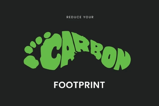 reduce-carbon-footprint.