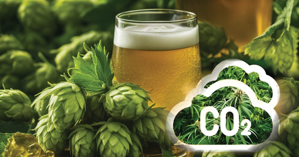 CO2 & Hops processing