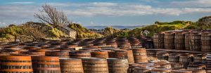 Distillery CO2 recovery