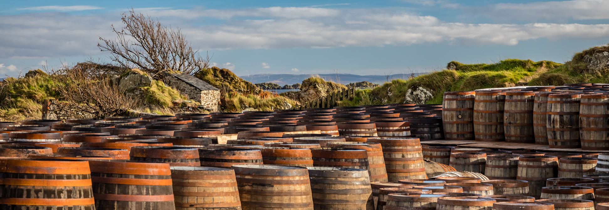 Distillery CO2 recovery