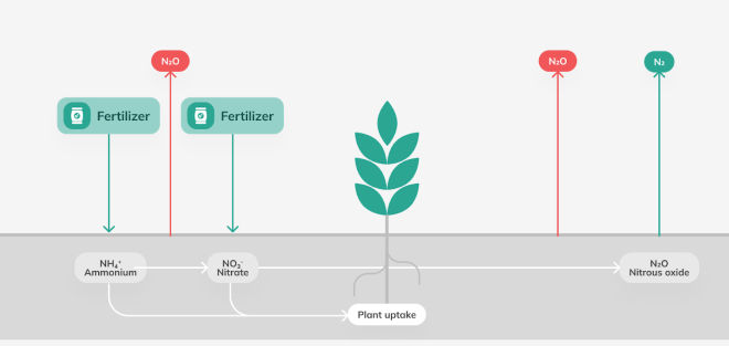 Beer and Wine Sustainability Showdown: Tracing the Footprint from Soil to System nitrous-oxide