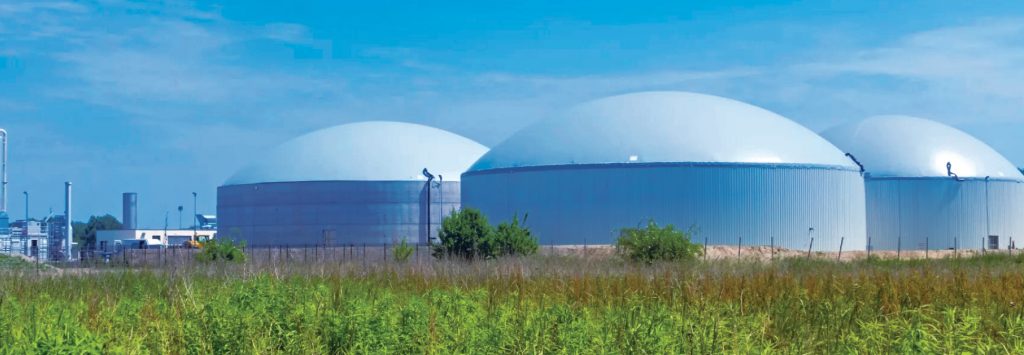 Industrial Biogas: Carbon Outcomes Industrial biogas carbon outcomes