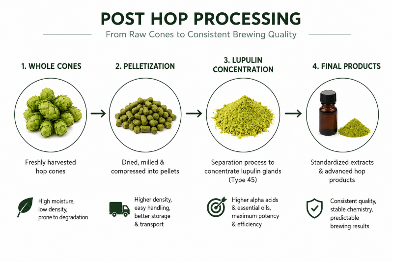 post hop processing